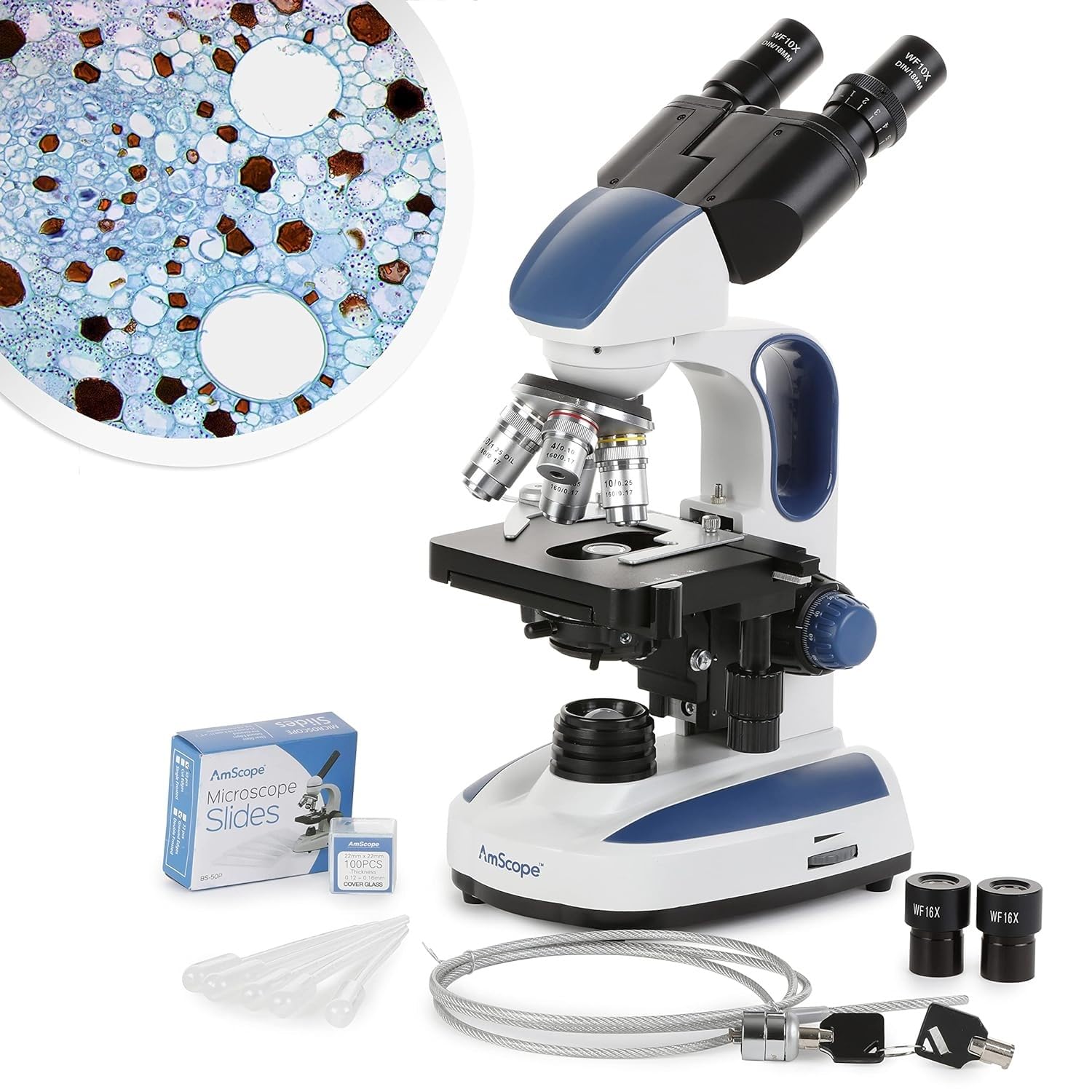 Read more about the article AmScope – 40X-2500X Advanced Student and Professional Compound Microscope w/Ergonomic Design – B270C-KT