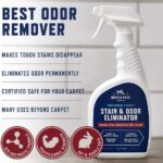 Rocco & Roxie Enzyme Stain & Odor Eliminator, 32 Fl Oz